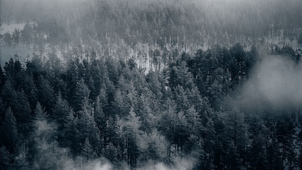 Photograph by Mohamad Ali