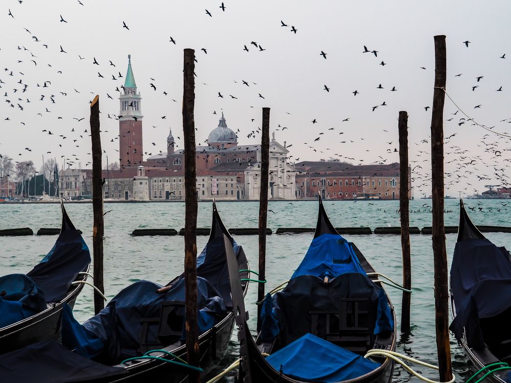 Photograph by Евгения Мягкова