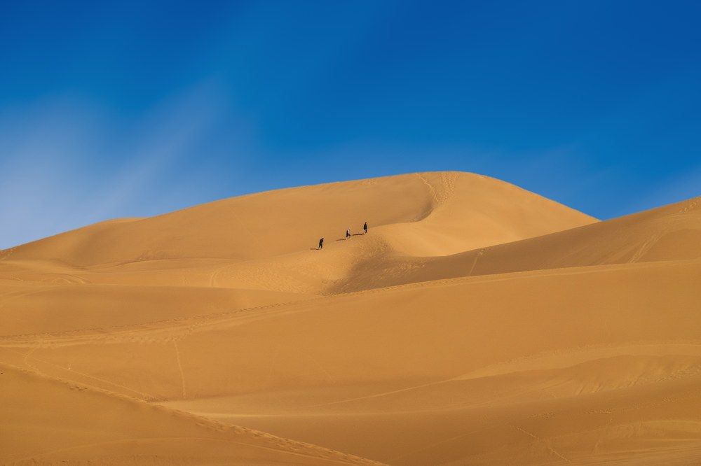Photograph by محمودرضا نورایی