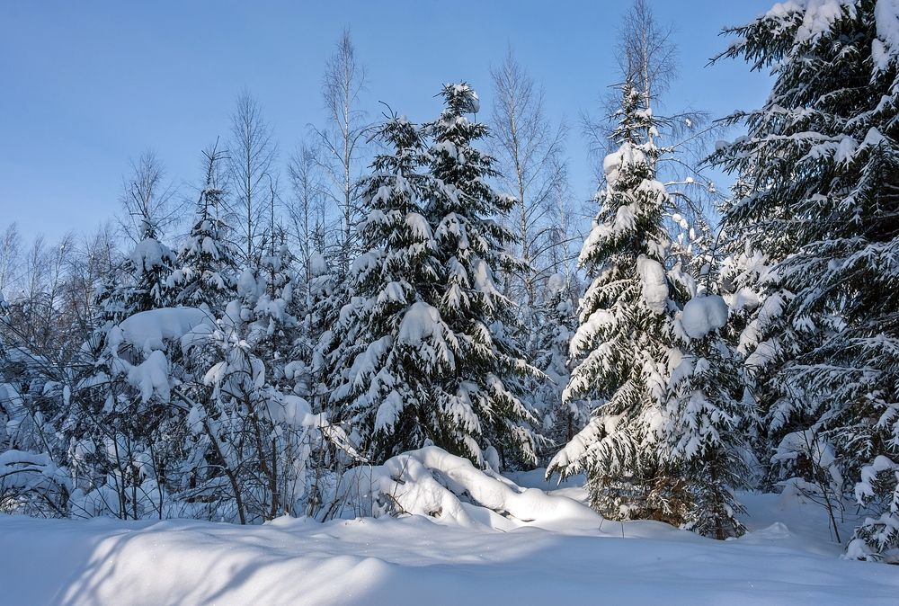Фотография автора Валерий Клейменов