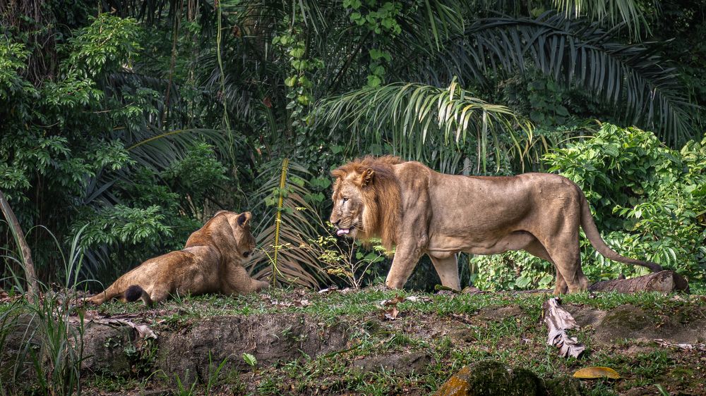 Photograph by Наталья Кокорина