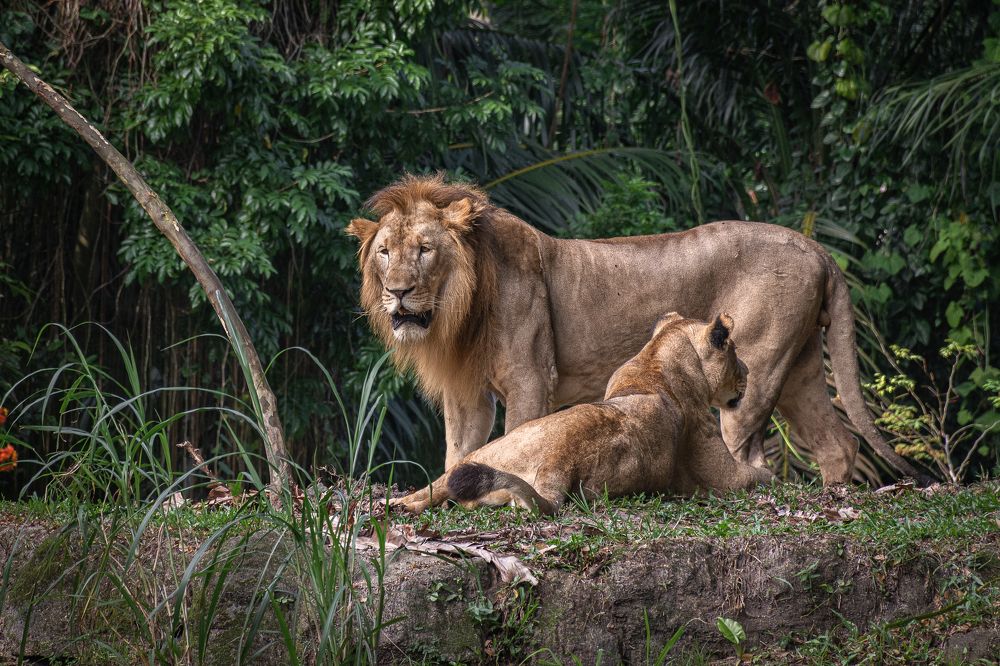 Photograph by Наталья Кокорина