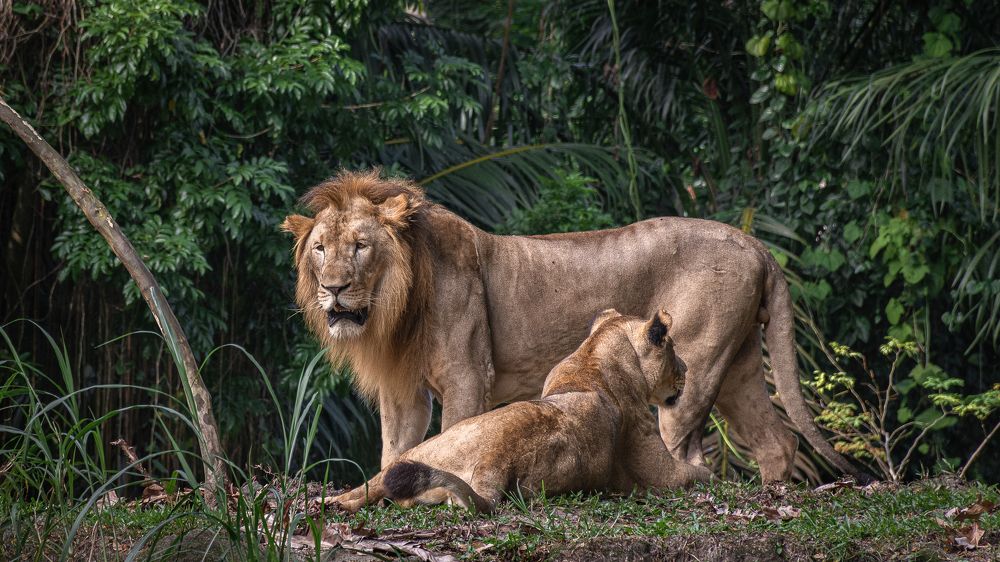 Photograph by Наталья Кокорина