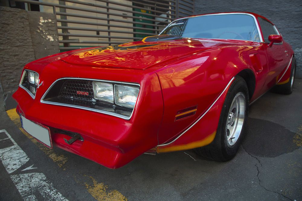 Фотография автора Mohsen Raeiszadeh