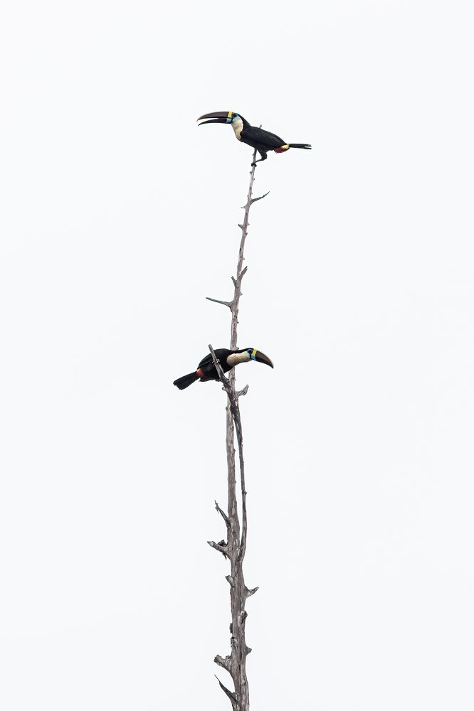 Photograph by Aubry Schaefer