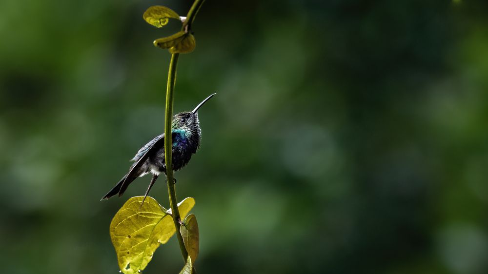 Photograph by Aubry Schaefer