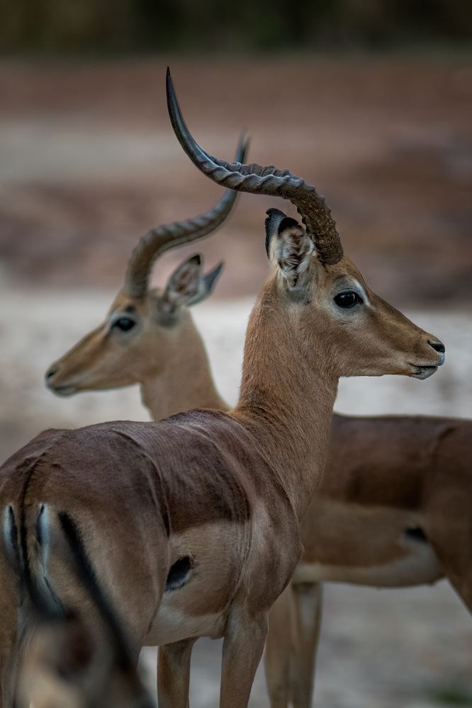 Photograph by Aubry Schaefer