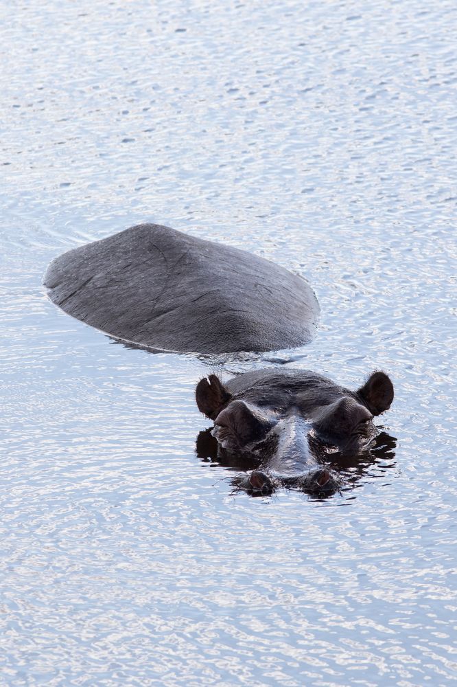 Photograph by Aubry Schaefer