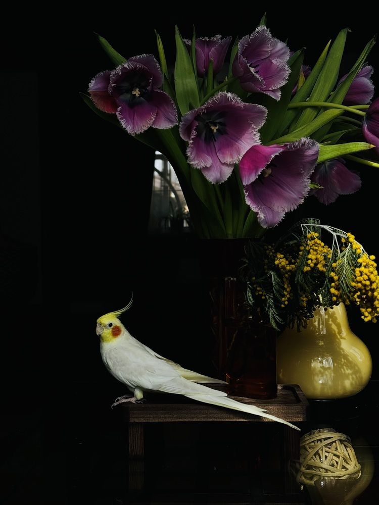 Photograph by Анастасия Денисенко