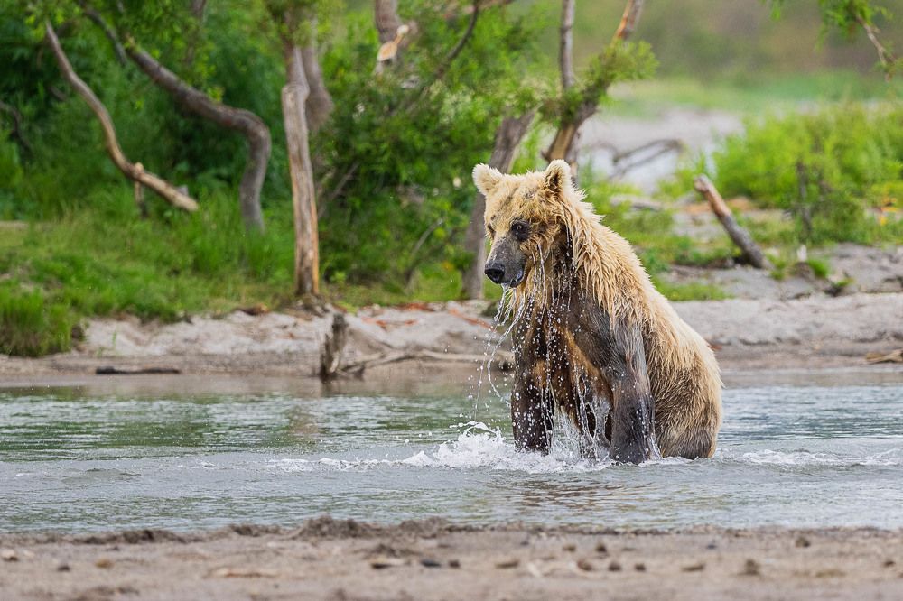 Photograph by Марина Маликова