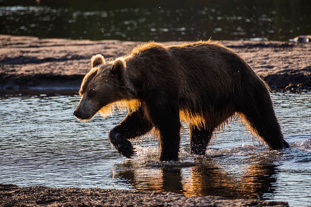 Photograph by Марина Маликова
