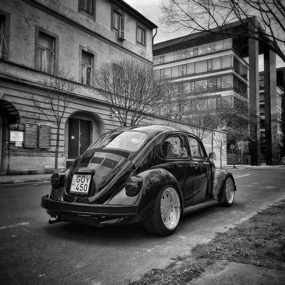 Photograph by Eperjessy Adrian