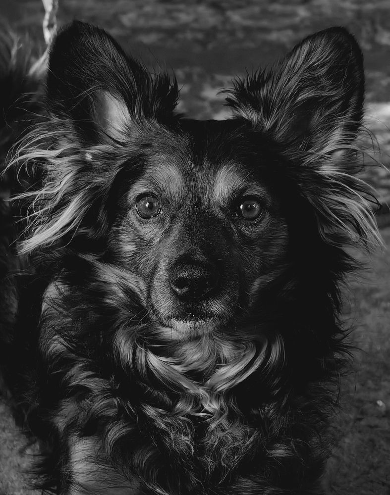 Photograph by Сергей Гриднев