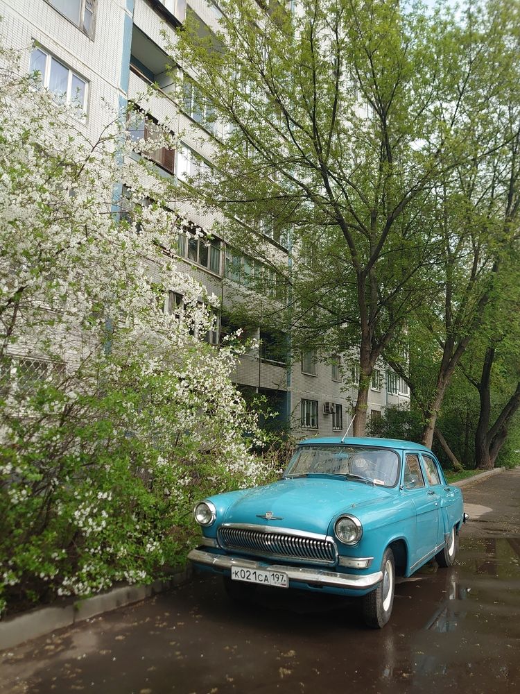 Photograph by Наталия Норина