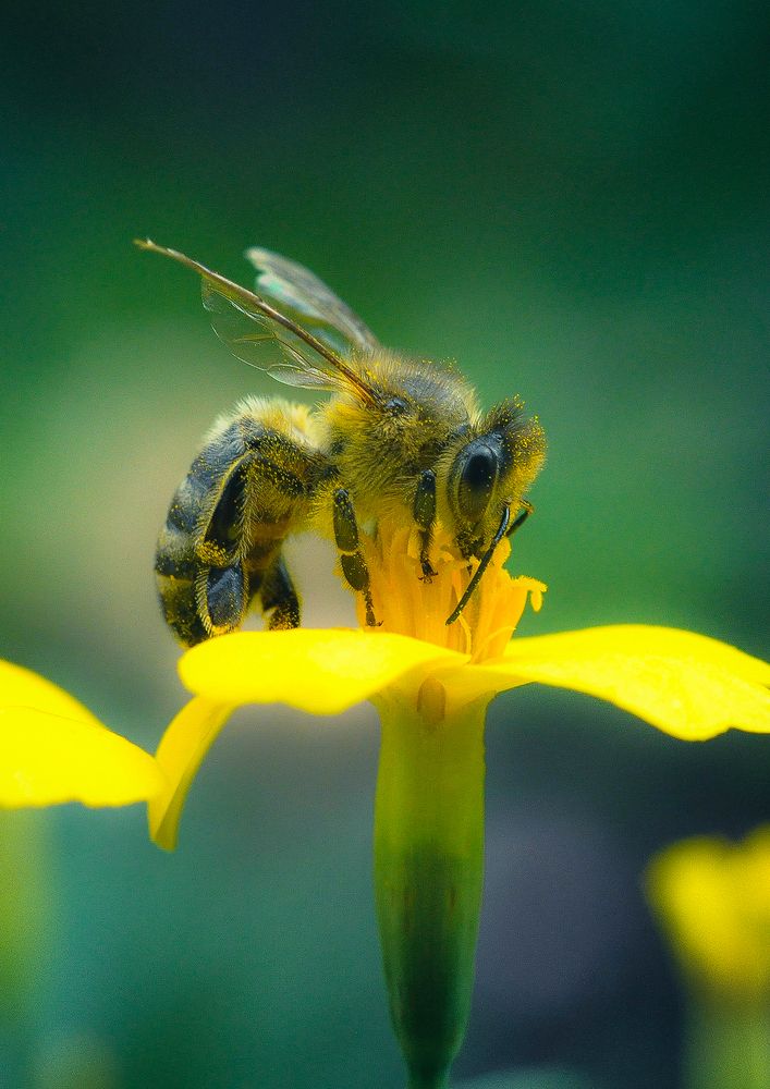 Photograph by Олеся zme