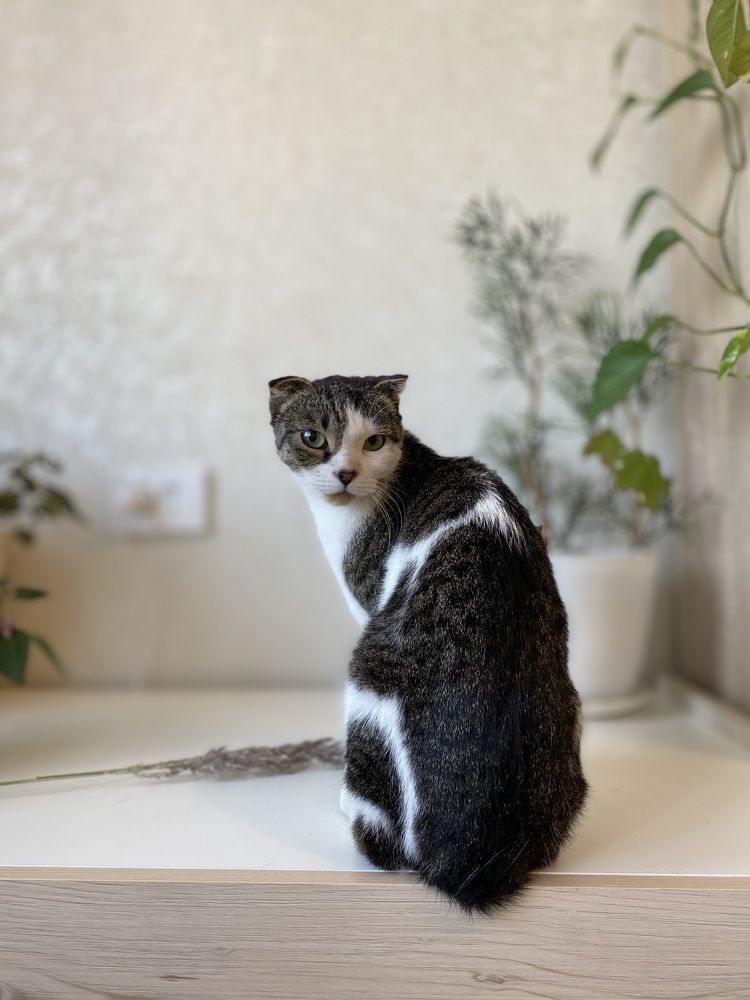 Photograph by Анастасия Лукьянюк