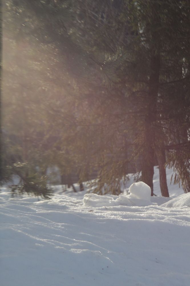 Photograph by Александр Макаренко