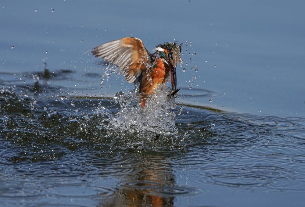Photograph by Dinesh Madushanka (Tap CLUB)