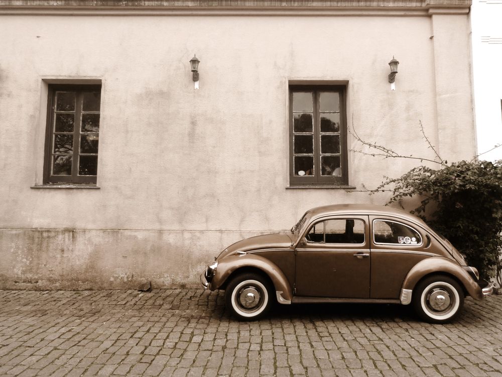 Photograph by GLEYDA GUTIÉREZ