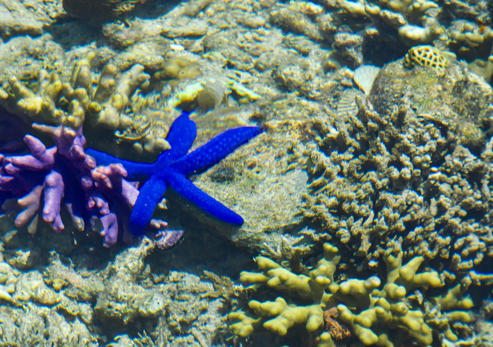 Photograph by Yafet Prayogo