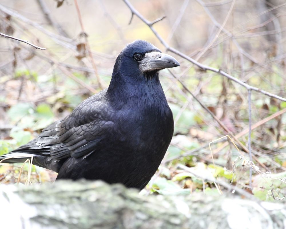 Photograph by Александр Затямин