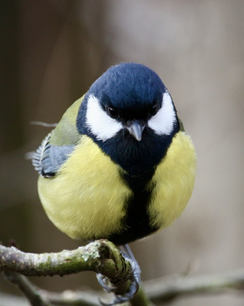 Photograph by Александр Затямин