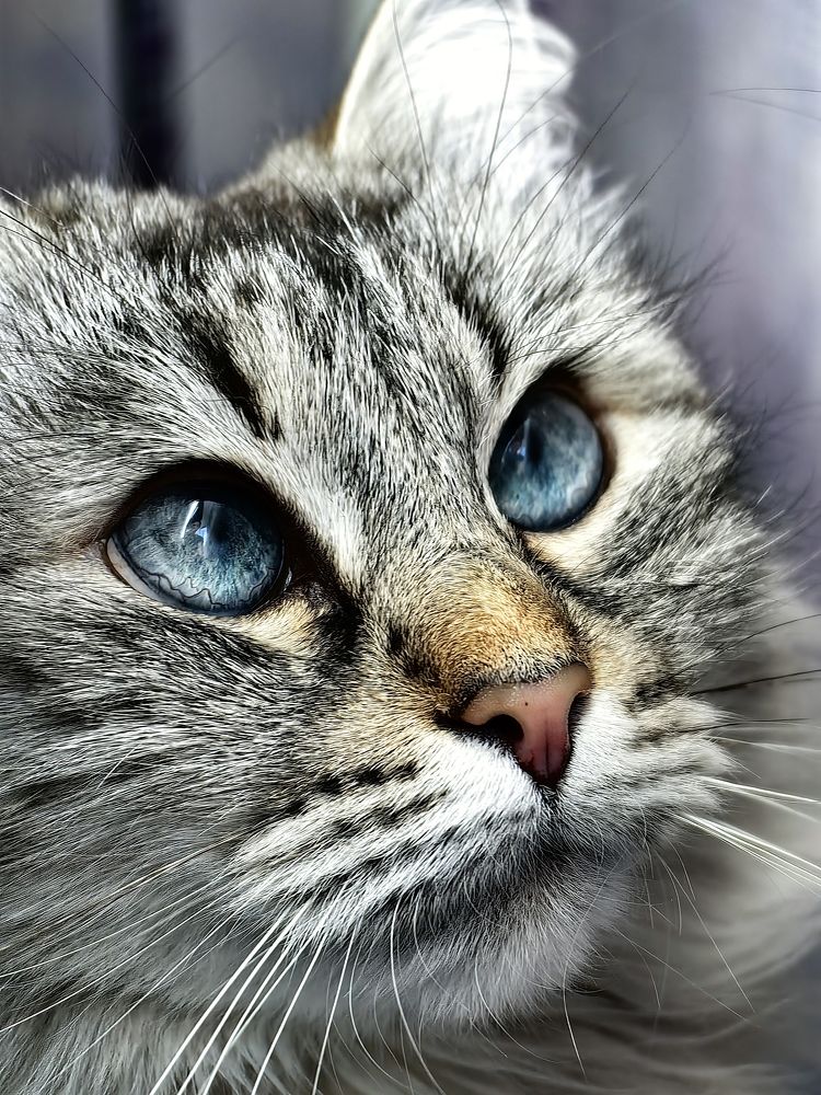 Photograph by Анна