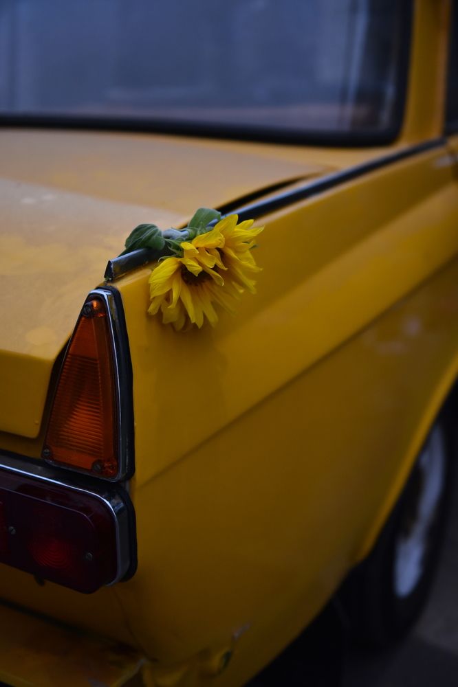 Photograph by Наталья Сергеева