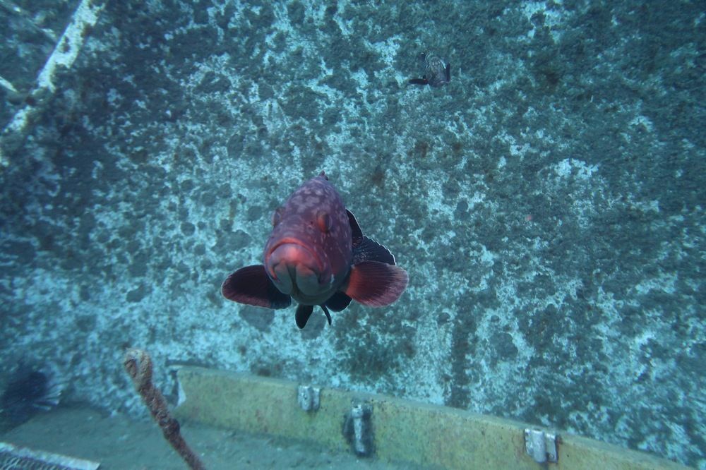 Photograph by KONSTANTINOS EFSTATHIOU