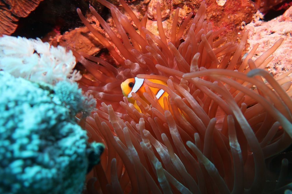 Photograph by KONSTANTINOS EFSTATHIOU