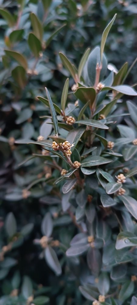 Photograph by Лидия Кротько