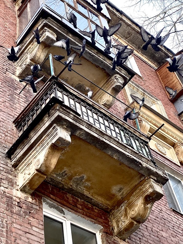 Фотография автора Gala Timaeva