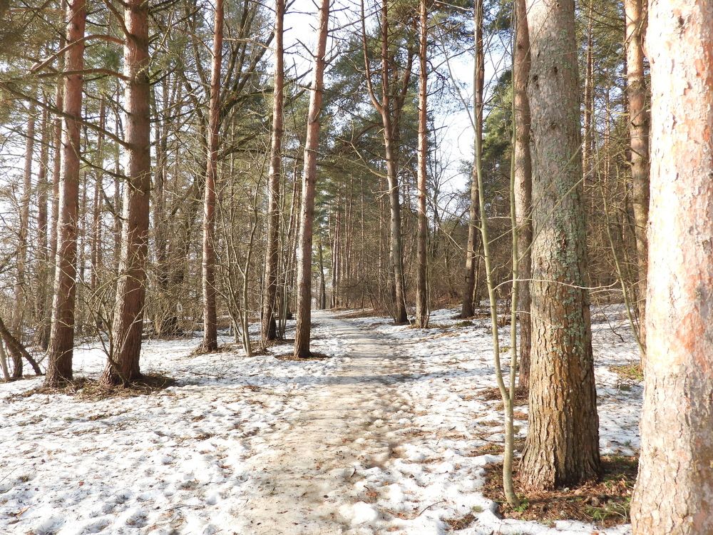 Photograph by Владимир Джерихов