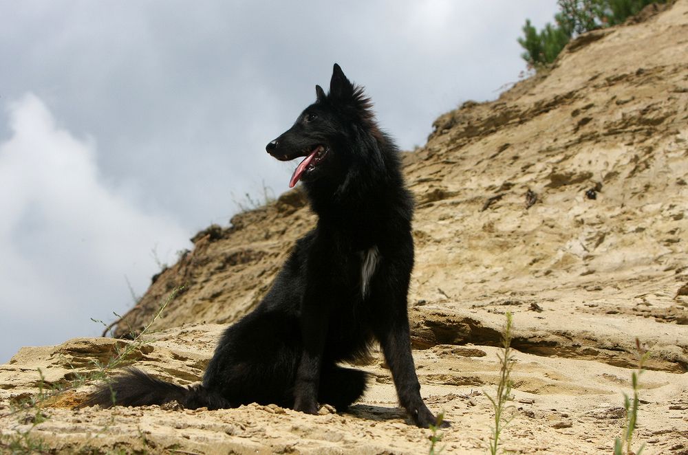 Фотография автора Надежда Лисицына