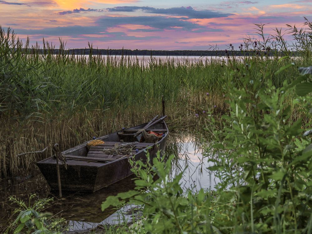 Photograph by Константин Воробьёв