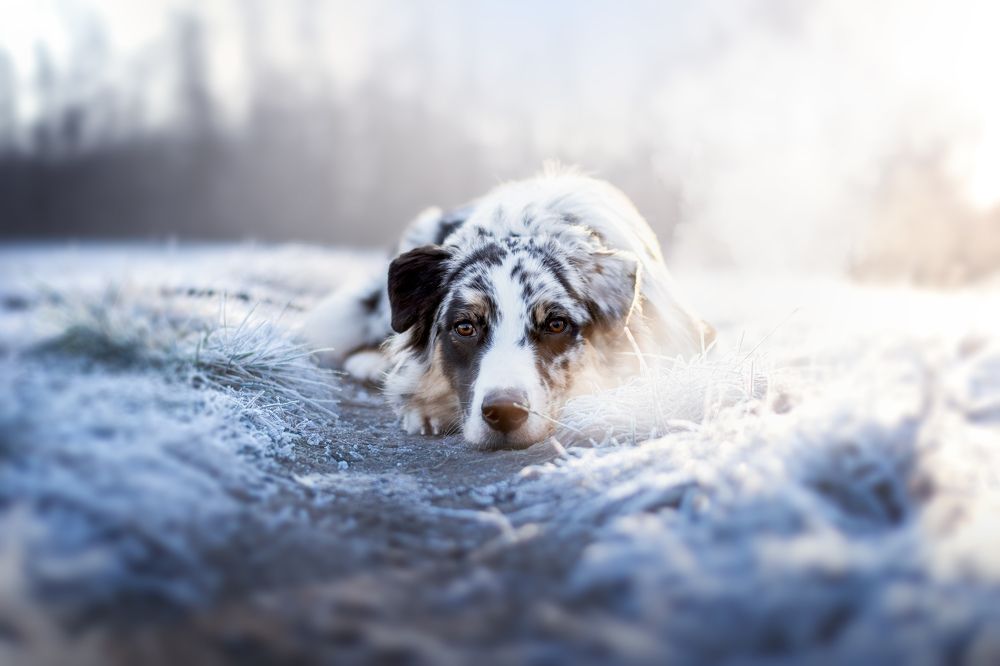 Photograph by Karin Záhorčáková