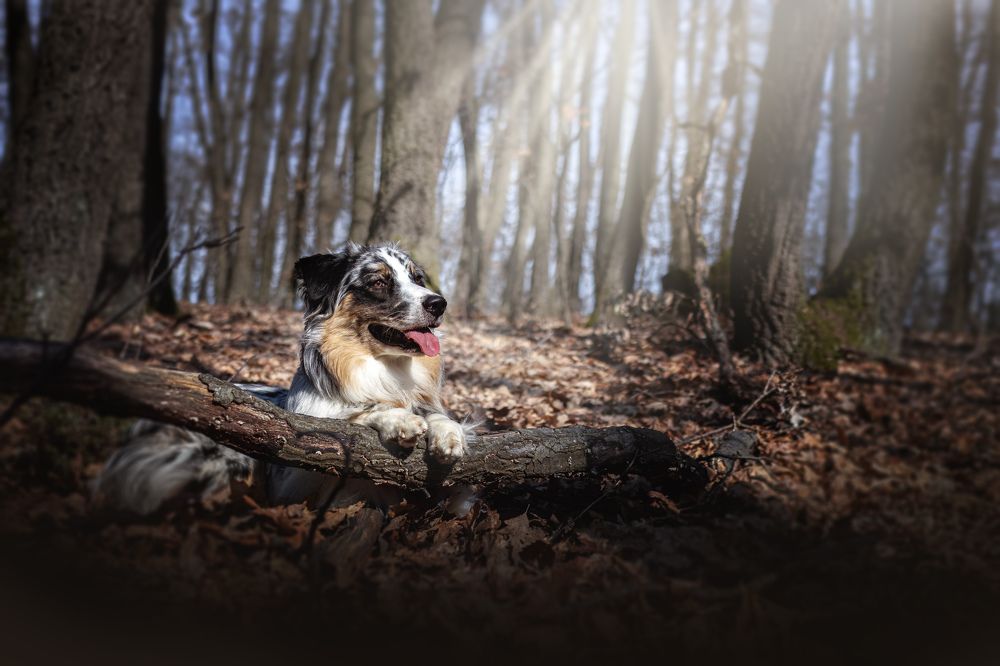 Photograph by Karin Záhorčáková