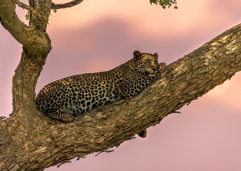 Photograph by Silvia Ribeiro