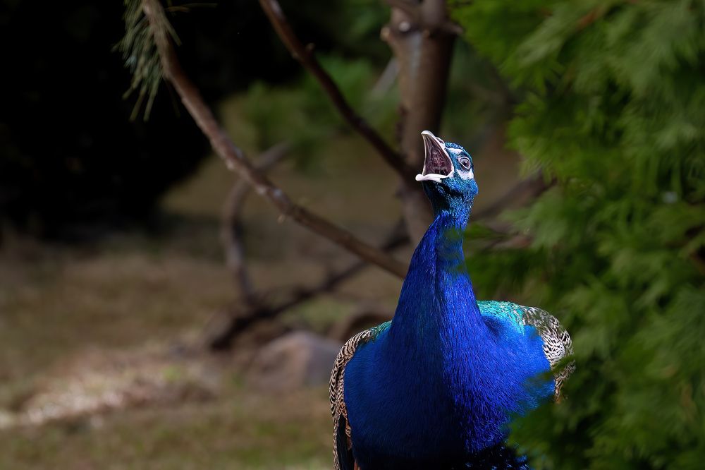 Photograph by Марина Виноградова