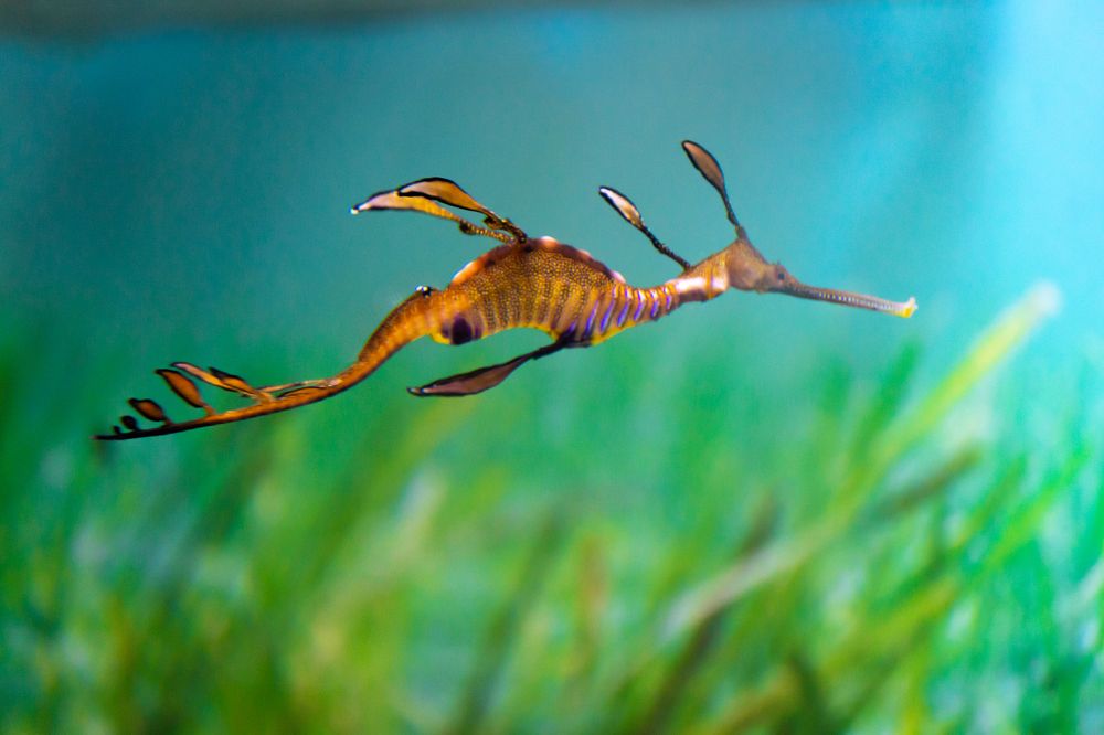 Фотография автора Александр Ермоленко