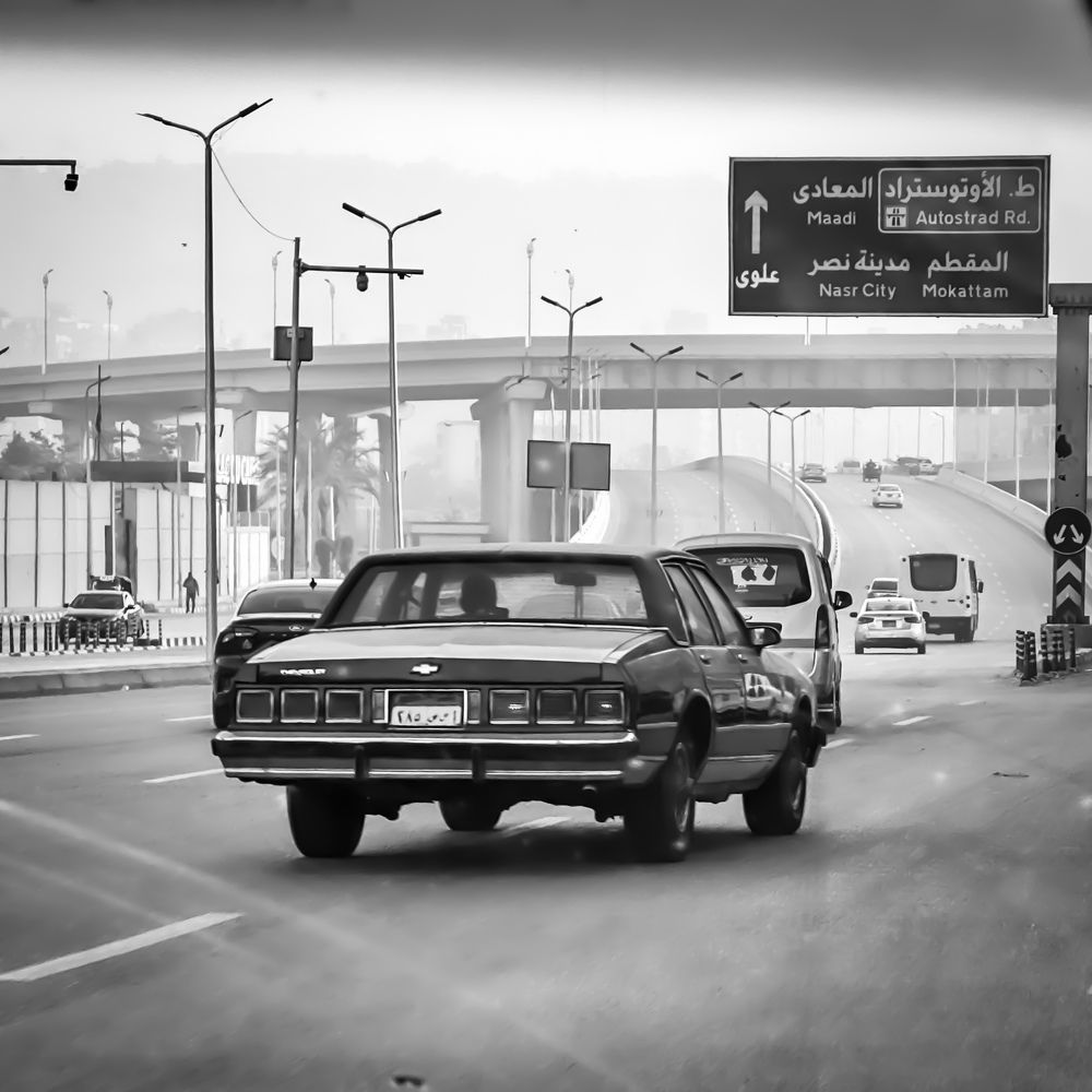 Фотография автора maram ali