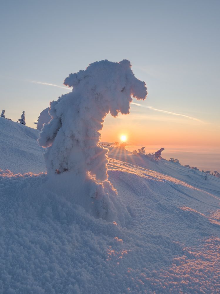 Photograph by Андрей Гусаров