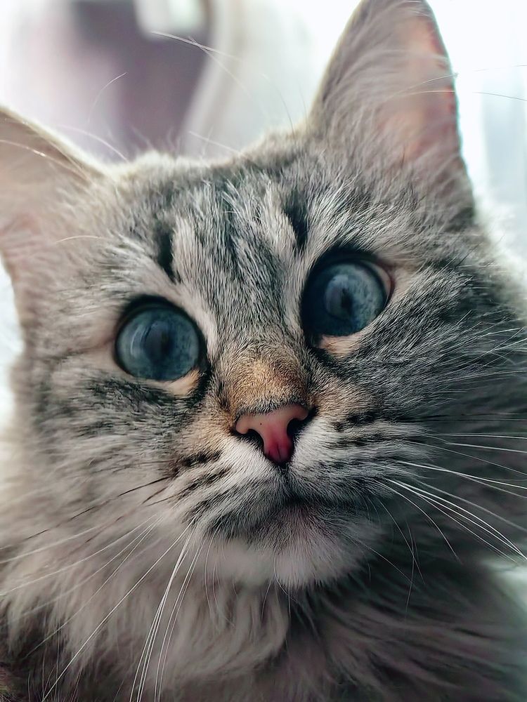 Photograph by Анна