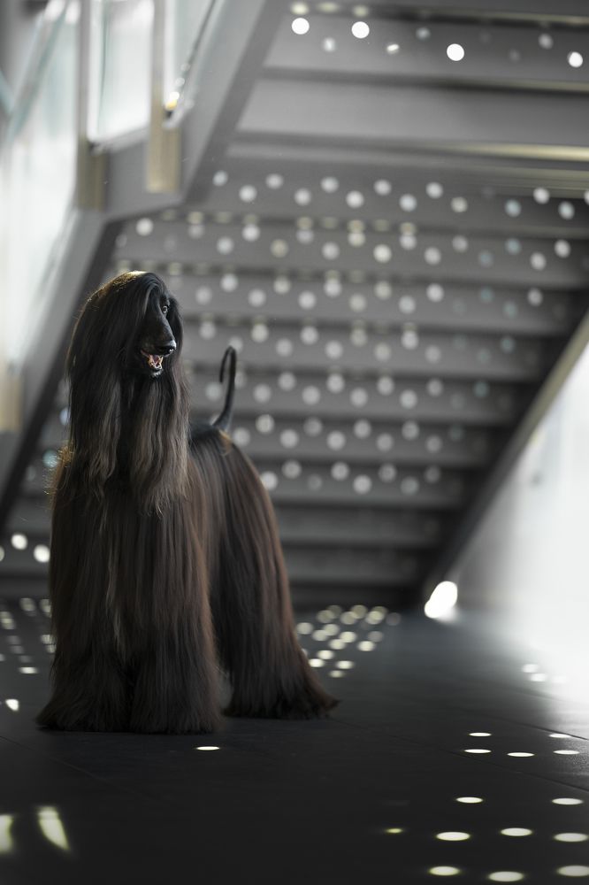 Photograph by Nikol Kopp