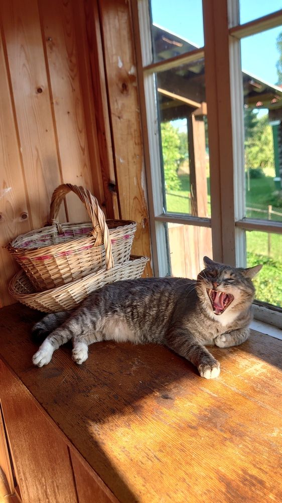 Photograph by Наталия Норина