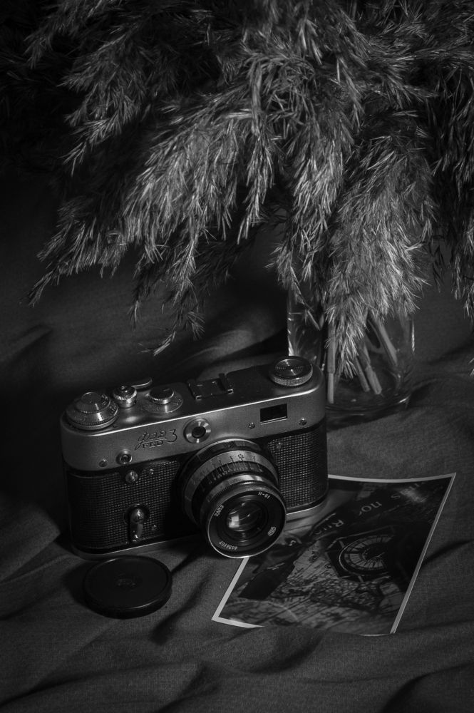 Photograph by Виталий Монахов