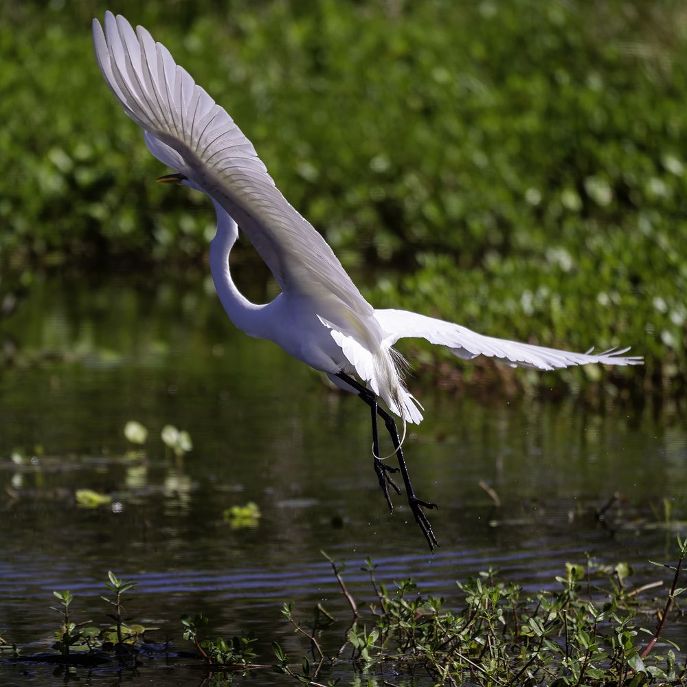 Фотография автора Ray Asiala