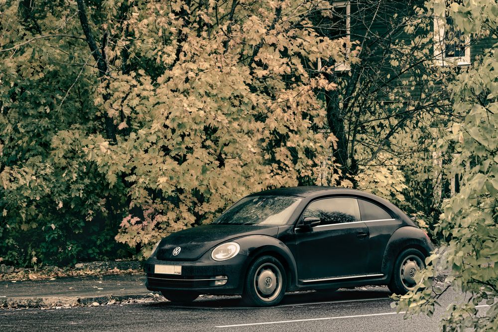 Photograph by Елена Амозова