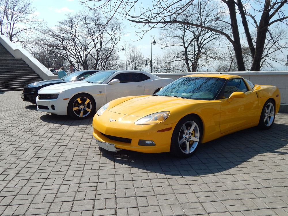 Black. White. Yellow.