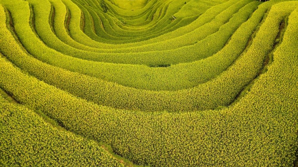 Фотография автора Nguyễn kim Chung